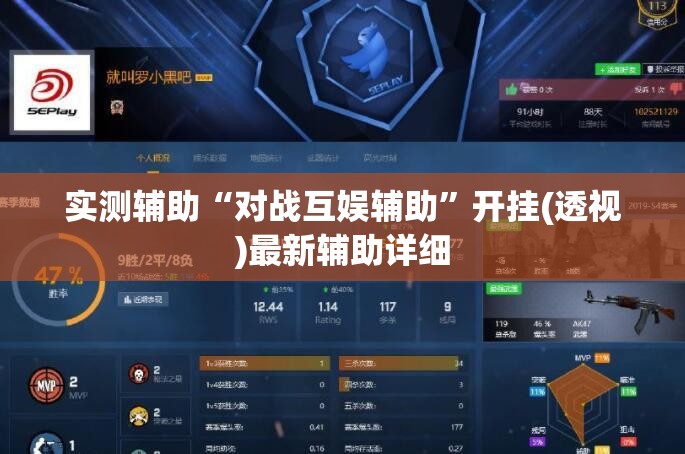 实测辅助“对战互娱辅助	”开挂(透视)最新辅助详细