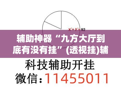 辅助神器“九方大厅到底有没有挂”(透视挂)辅助下载教程