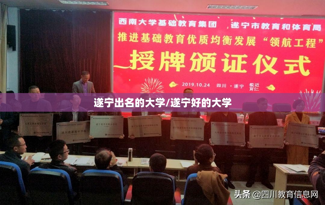 遂宁出名的大学/遂宁好的大学