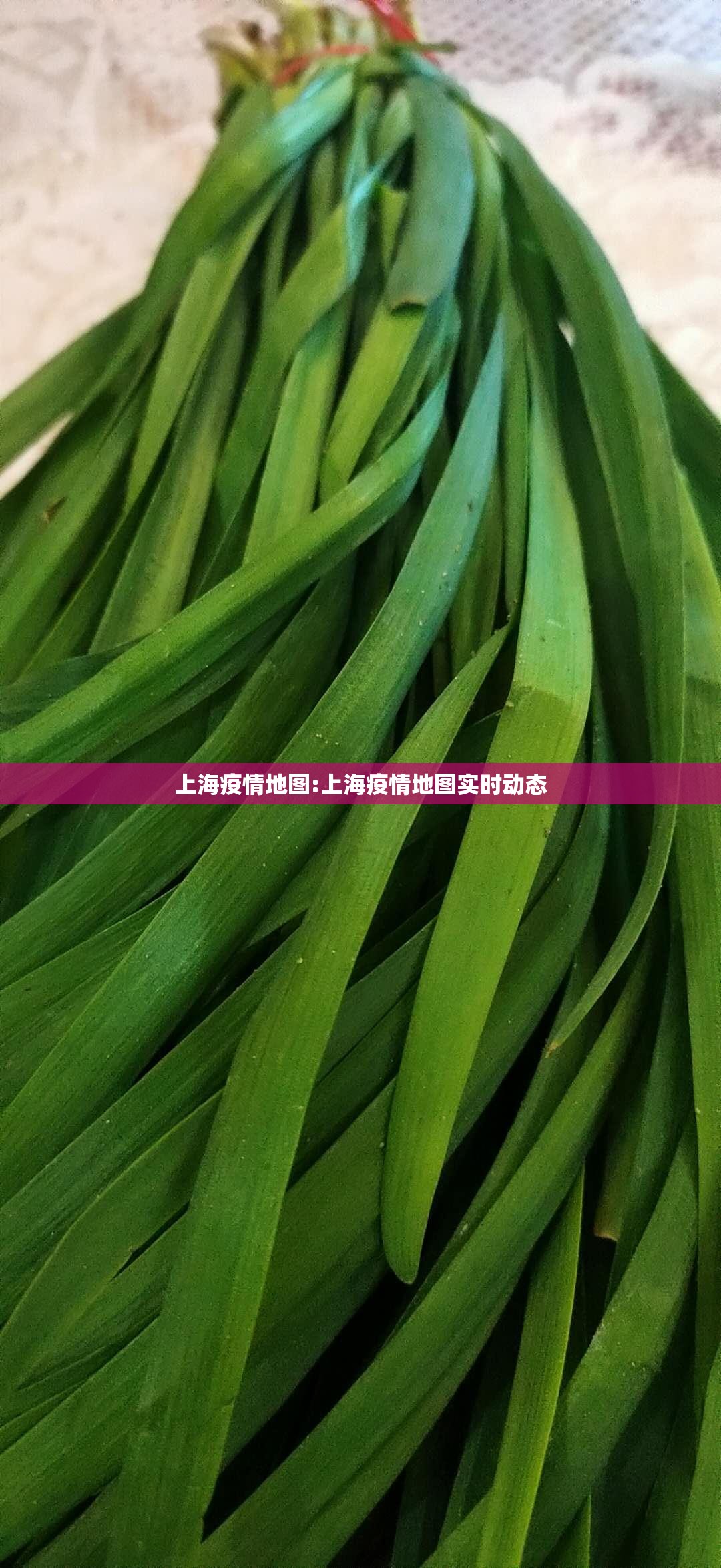 上海疫情地图:上海疫情地图实时动态