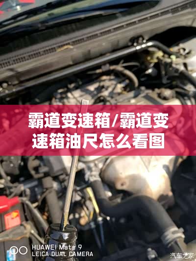 霸道变速箱/霸道变速箱油尺怎么看图片