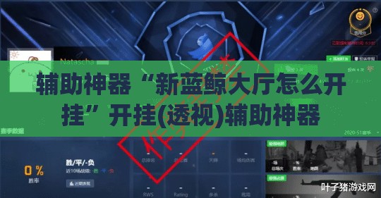 辅助神器“新蓝鲸大厅怎么开挂	”开挂(透视)辅助神器