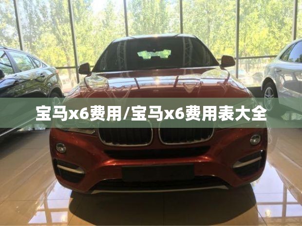 宝马x6费用/宝马x6费用表大全