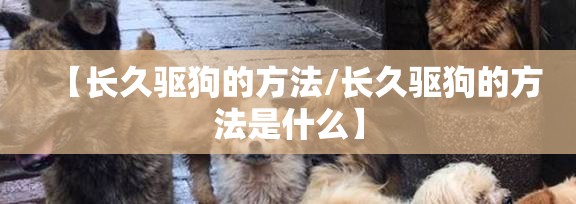 【长久驱狗的方法/长久驱狗的方法是什么】