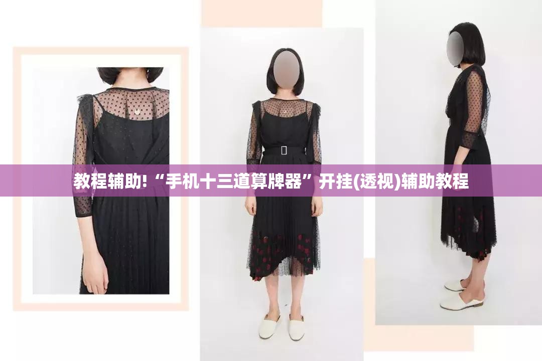 教程辅助!“手机十三道算牌器”开挂(透视)辅助教程