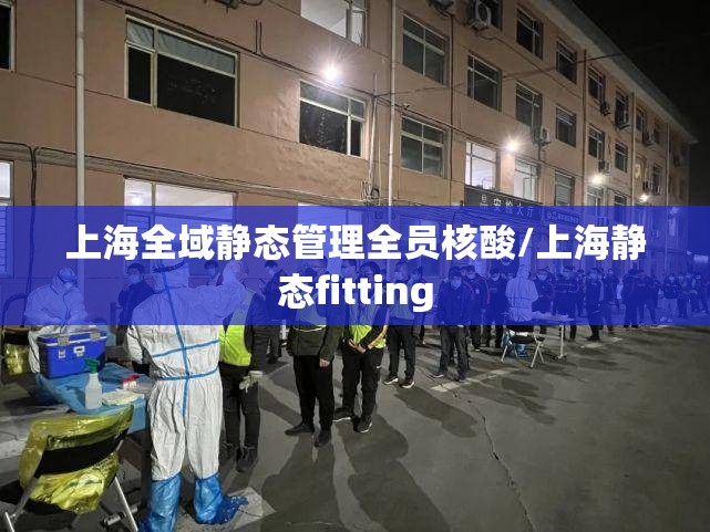 上海全域静态管理全员核酸/上海静态fitting