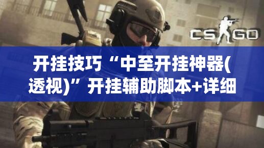 开挂技巧“中至开挂神器(透视)”开挂辅助脚本+详细开挂安装教程