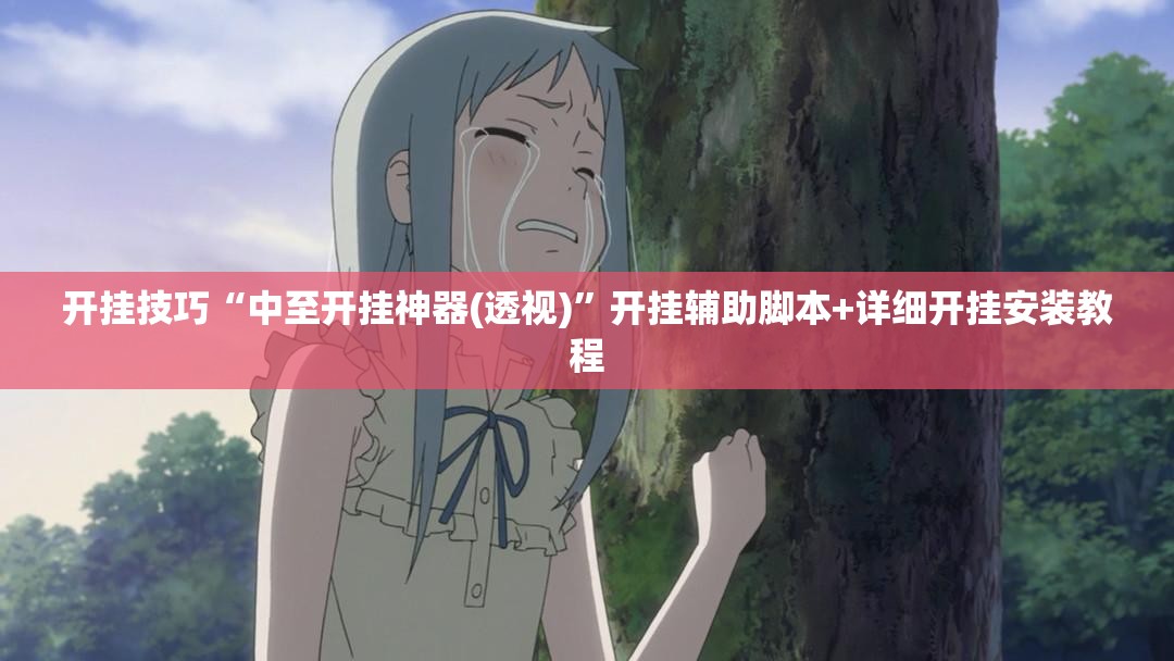 开挂技巧“中至开挂神器(透视)”开挂辅助脚本+详细开挂安装教程