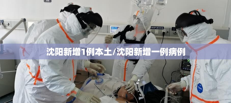 沈阳新增1例本土/沈阳新增一例病例