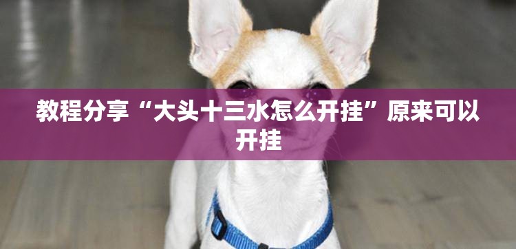 教程分享“大头十三水怎么开挂	”原来可以开挂