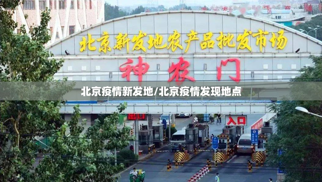 北京疫情新发地/北京疫情发现地点
