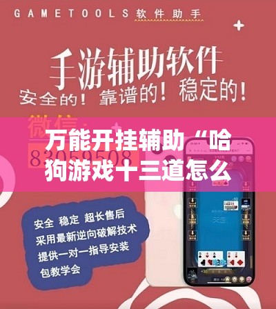 万能开挂辅助“哈狗游戏十三道怎么才能赢”开挂(透视)辅助教程