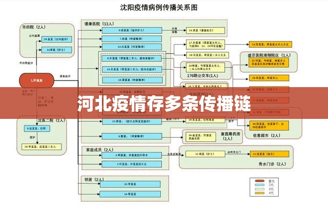 【河北疫情存多条传播链/河北疫情传播路径】