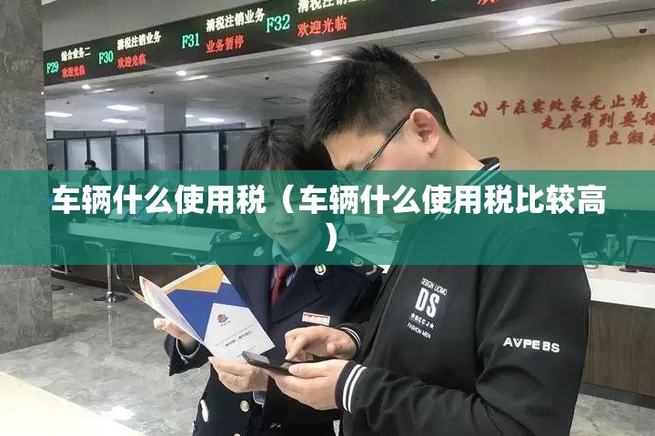 车辆什么使用税（车辆什么使用税比较高）