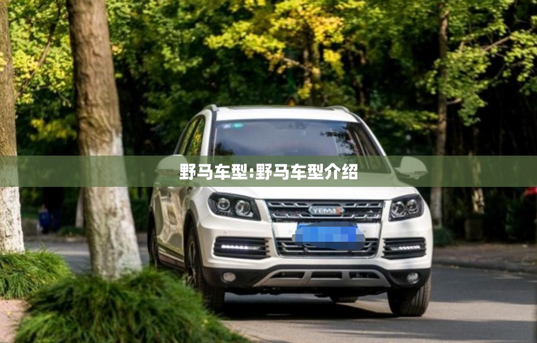 野马车型:野马车型介绍