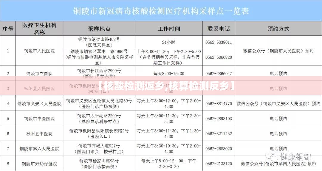 【核酸检测返乡,核算检测反乡】