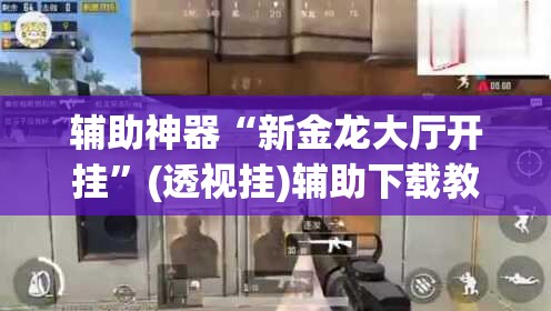 辅助神器“新金龙大厅开挂”(透视挂)辅助下载教程