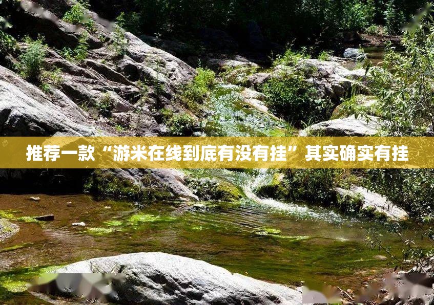 推荐一款“游米在线到底有没有挂”其实确实有挂