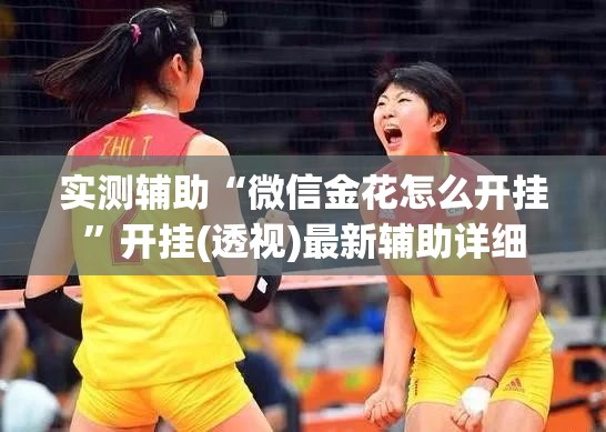 实测辅助“微信金花怎么开挂”开挂(透视)最新辅助详细
