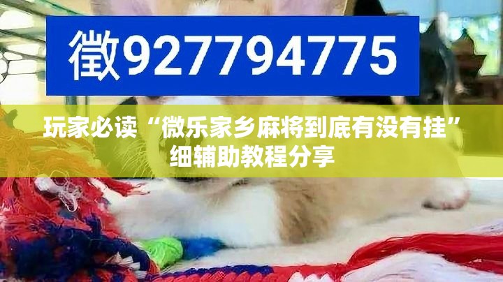 玩家必读“微乐家乡麻将到底有没有挂”细辅助教程分享