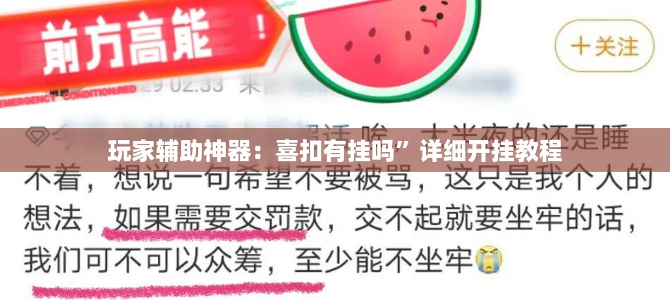 玩家辅助神器：喜扣有挂吗”详细开挂教程