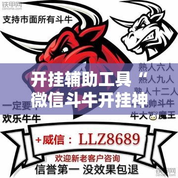 开挂辅助工具“微信斗牛开挂神器”详细分享装挂步骤