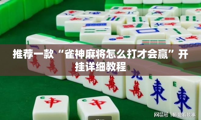 推荐一款“雀神麻将怎么打才会赢”开挂详细教程
