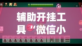辅助开挂工具“微信小程序麻将开挂通用版”开挂(透视)辅助神器
