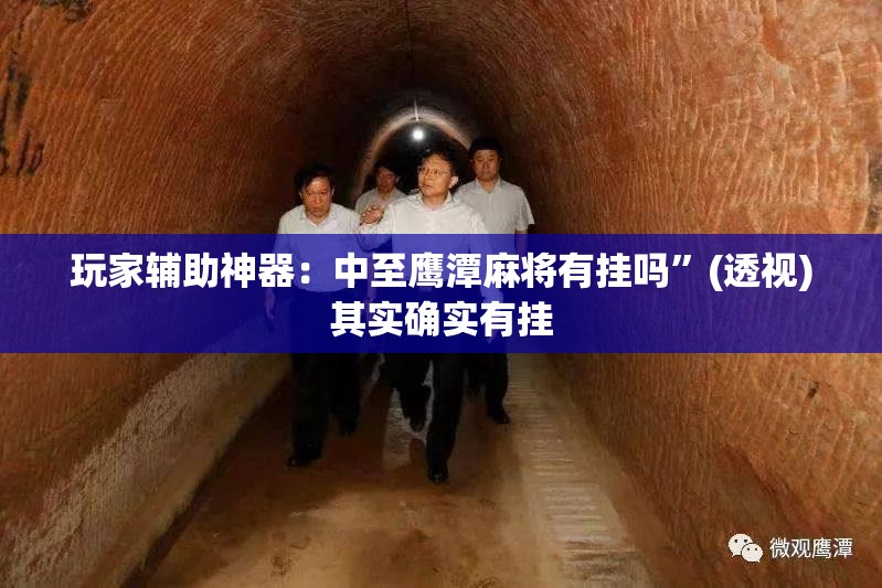玩家辅助神器：中至鹰潭麻将有挂吗”(透视)其实确实有挂