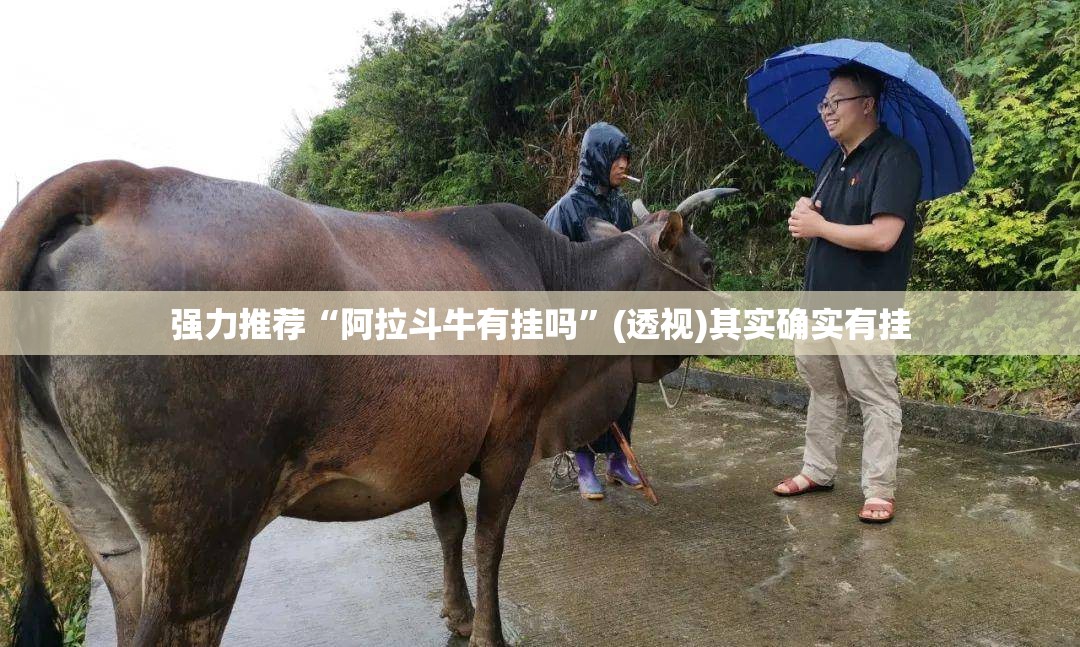 强力推荐“阿拉斗牛有挂吗”(透视)其实确实有挂
