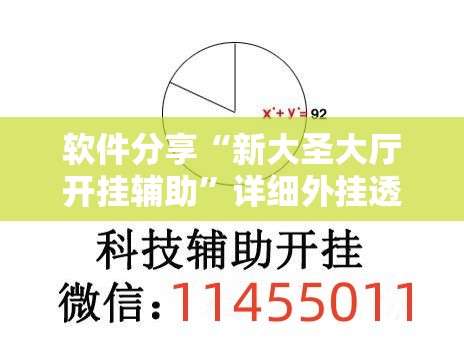 软件分享“新大圣大厅开挂辅助”详细外挂透视辅助软件教程