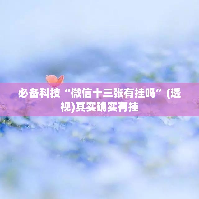 必备科技“微信十三张有挂吗”(透视)其实确实有挂