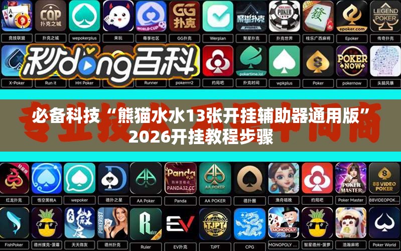 必备科技“熊猫水水13张开挂辅助器通用版”2026开挂教程步骤