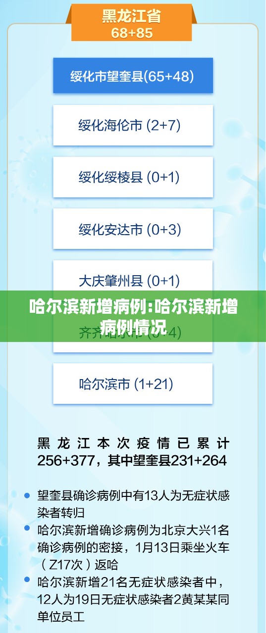 哈尔滨新增病例:哈尔滨新增病例情况