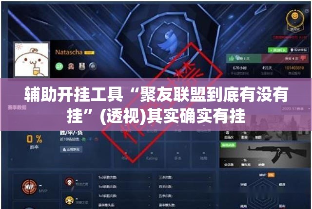 辅助开挂工具“聚友联盟到底有没有挂”(透视)其实确实有挂