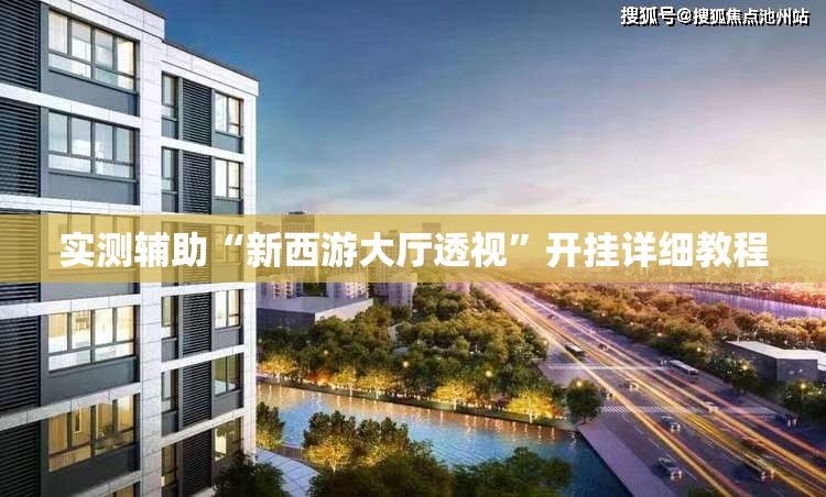 实测辅助“新西游大厅透视”开挂详细教程