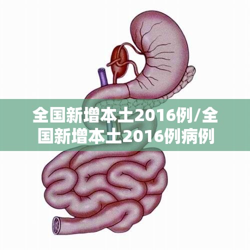 全国新增本土2016例/全国新增本土2016例病例