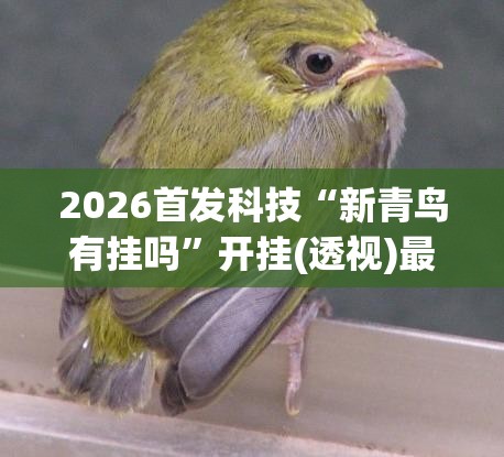 2026首发科技“新青鸟有挂吗”开挂(透视)最新辅助详细