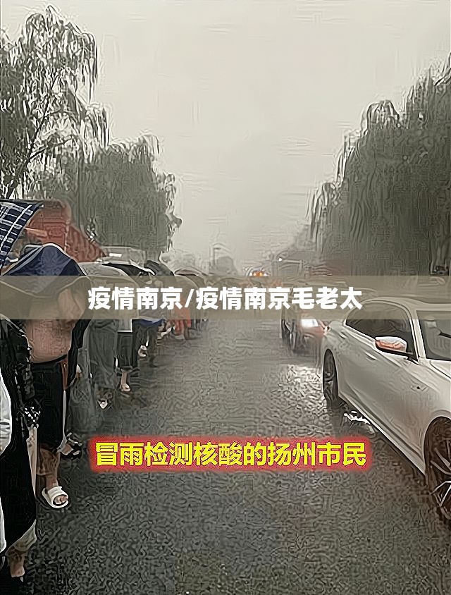 疫情南京/疫情南京毛老太