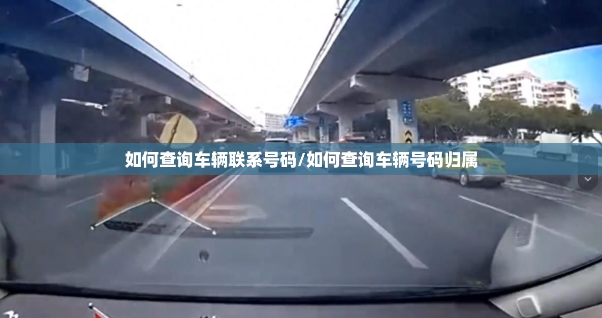 如何查询车辆联系号码/如何查询车辆号码归属