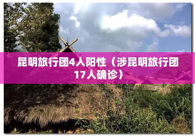 昆明旅行团4人阳性（涉昆明旅行团17人确诊）