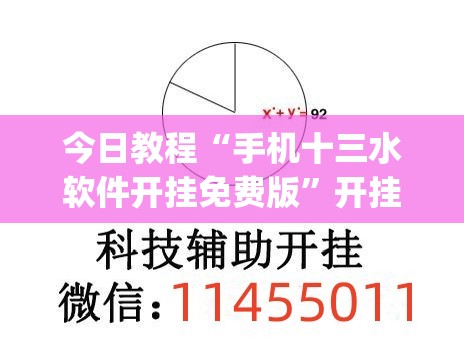 今日教程“手机十三水软件开挂免费版	”开挂(透视)辅助神器
