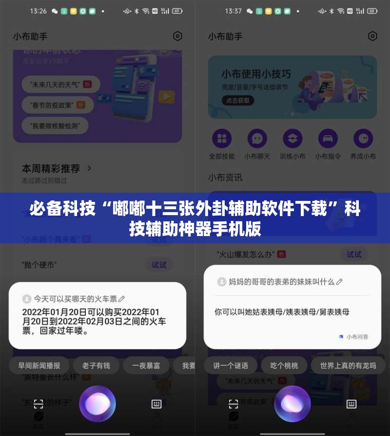 必备科技“嘟嘟十三张外卦辅助软件下载”科技辅助神器手机版