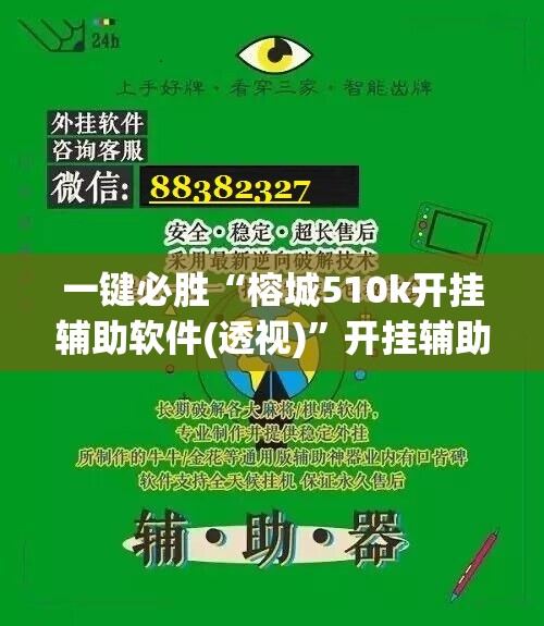 一键必胜“榕城510k开挂辅助软件(透视)	”开挂辅助脚本+详细开挂安装教程
