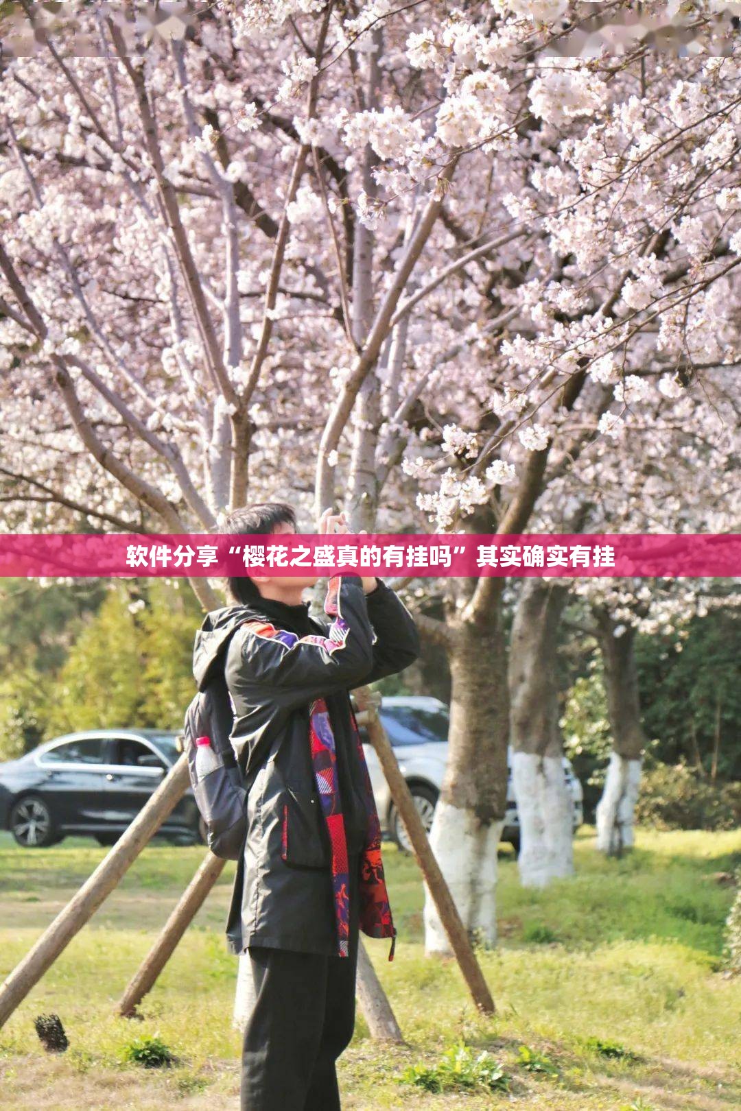 软件分享“樱花之盛真的有挂吗	”其实确实有挂