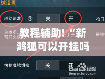 教程辅助!“新鸿狐可以开挂吗”开挂(透视)辅助教程