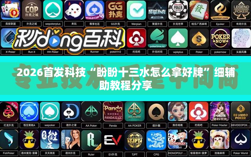 2026首发科技“盼盼十三水怎么拿好牌”细辅助教程分享
