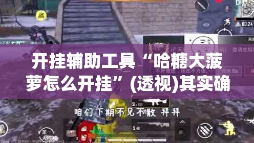 开挂辅助工具“哈糖大菠萝怎么开挂”(透视)其实确实有挂