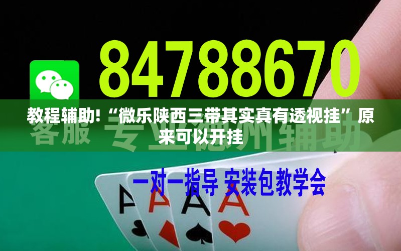 教程辅助!“微乐陕西三带其实真有透视挂”原来可以开挂