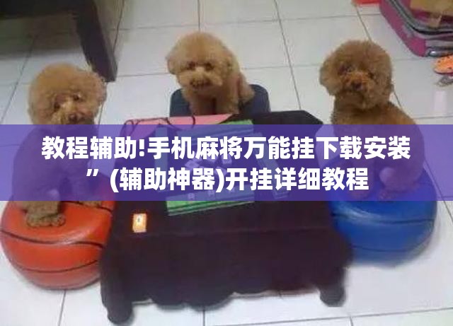 教程辅助!手机麻将万能挂下载安装”(辅助神器)开挂详细教程